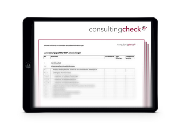 Ein Screenshot des Anforderungsprofils an ERP-Systeme.