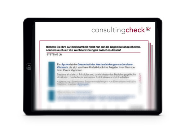 Ein Screenshot des Briefings zum Unternehmen als System.