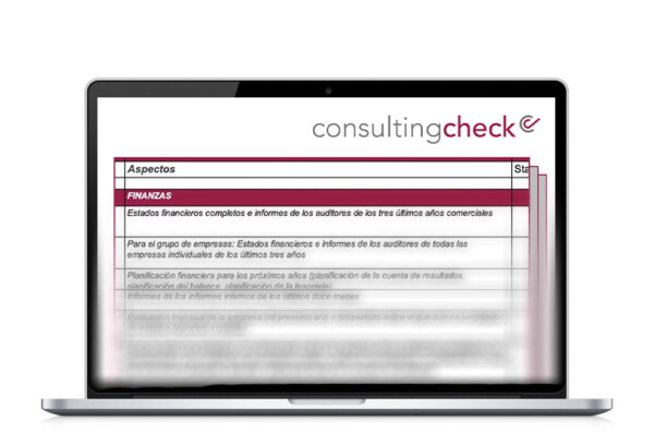 Ein Screenshot der Checkliste für die Financial Due Diligence.