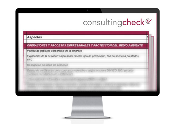 Ein Screenshot der Checkliste für die Technical Due Diligence.