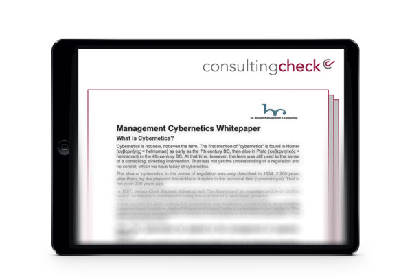Ein Screenshot des Whitepapers Management-Kybernetik.