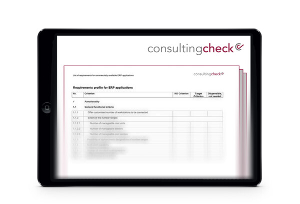 Ein Screenshot des Anforderungsprofils an ERP-Systeme.