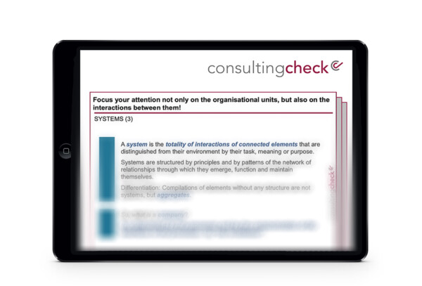 Ein Screenshot des Briefings zum Unternehmen als System.